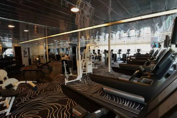 Pulse Gym